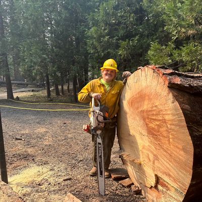 Avatar for Saltsman Timber LLC