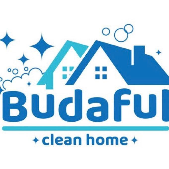 Budaful Clean Home LLC and Junk removal