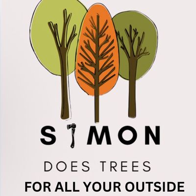 Avatar for Simon Does Trees
