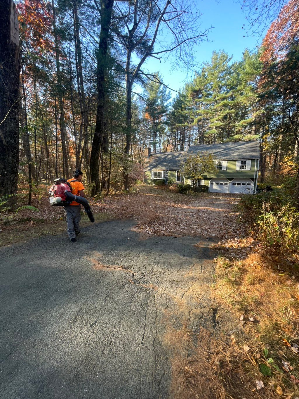 Need help with fall clean up? 
Call as and get a f