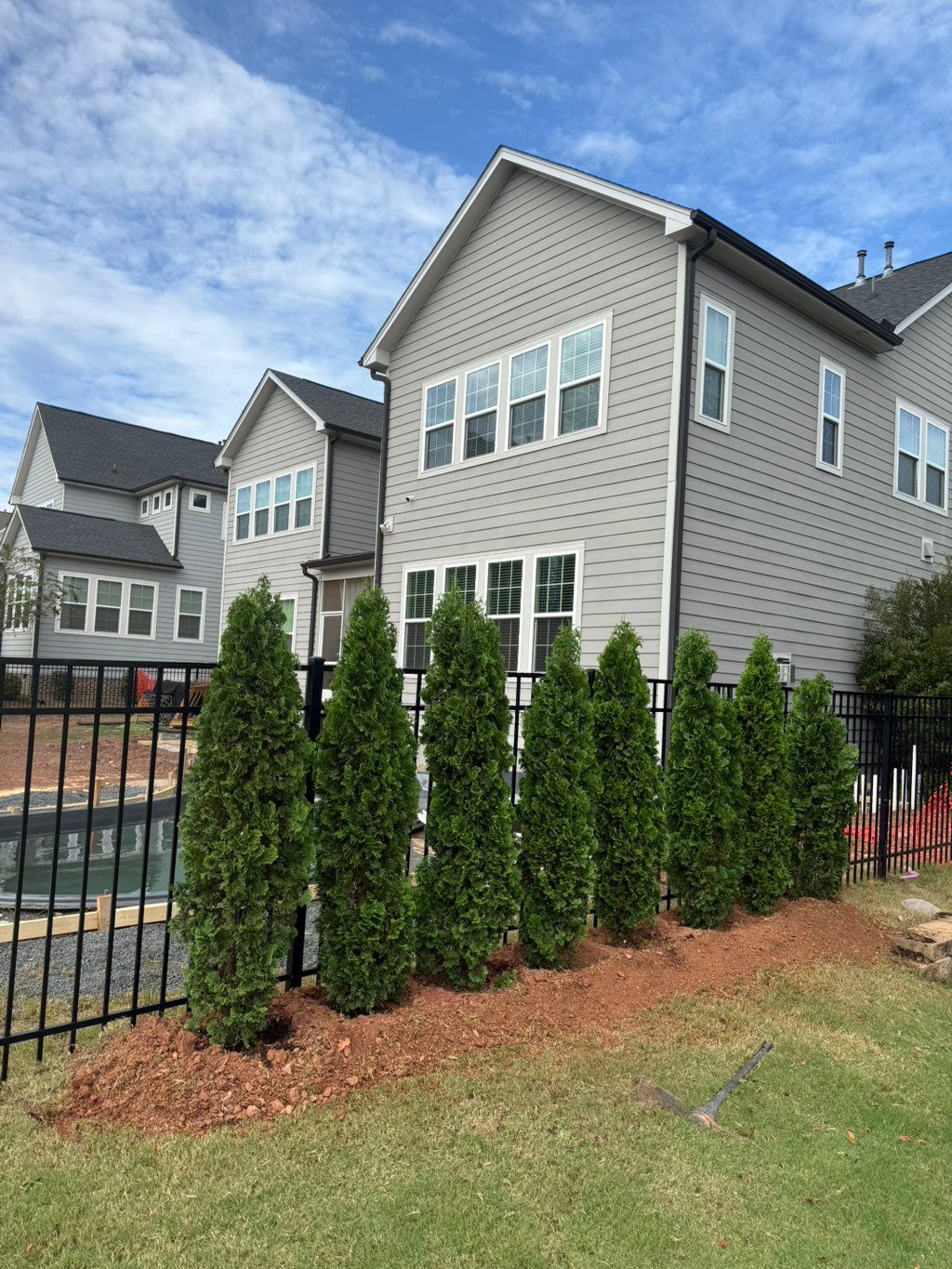 (Degroot) Emerald planting 6FT 