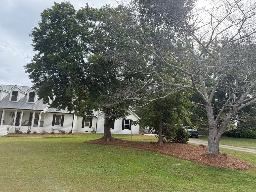 Pine straw installation/ Lawn maintenance 