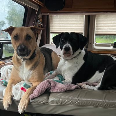 Avatar for Winbo handyman