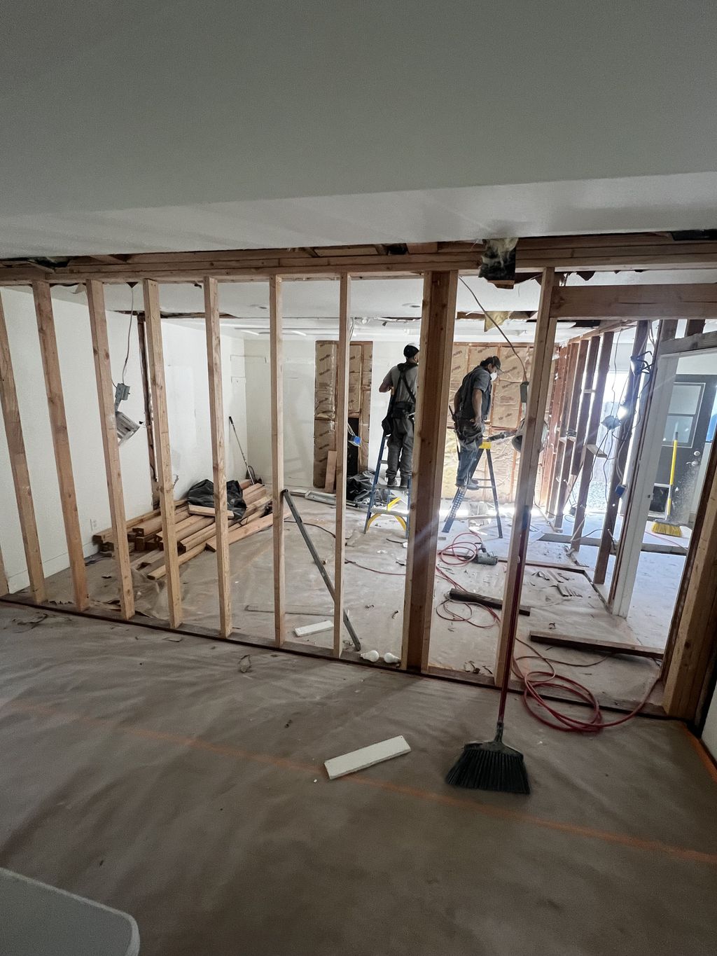 Projects and media