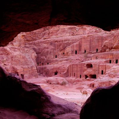 Avatar for RIPandFLIPLLC