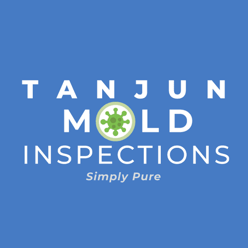 TANJUN MOLD INSPECTIONS  ~ 'Test Only' Inspector