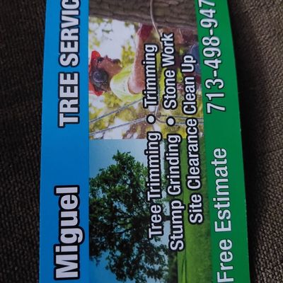 Avatar for TREE SERVICE