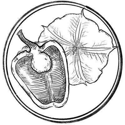 Avatar for Yarda Fabrication & Design