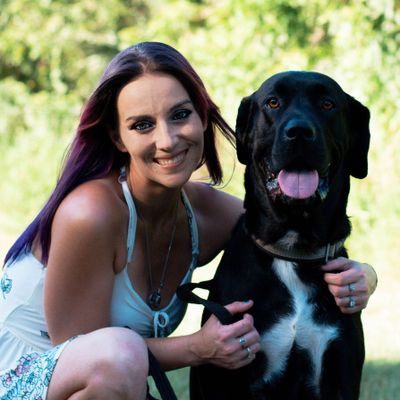 Avatar for Helping Paws Dog Training