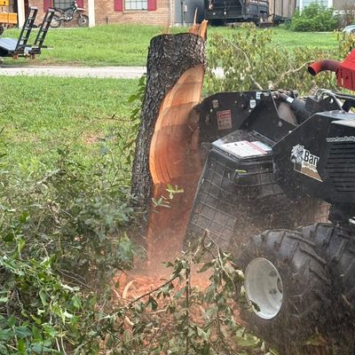 Avatar for Hammered Stumps LLC