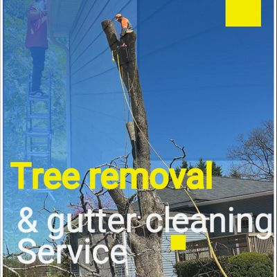 Avatar for Al’s over & beyond tree service