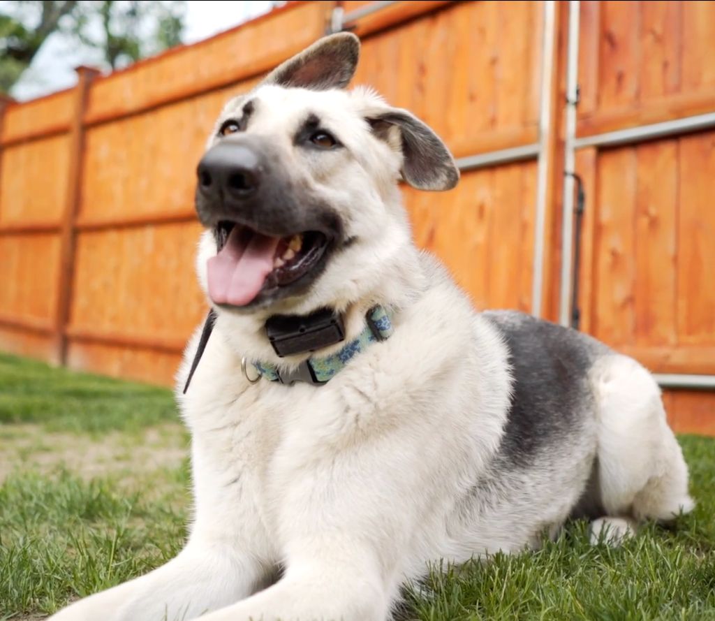 The Colorado Fence Company