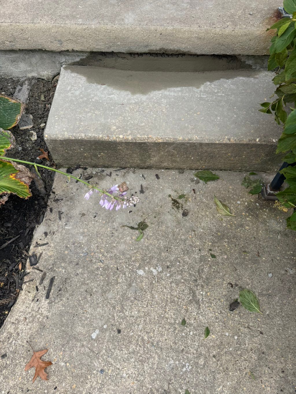 Concrete Step Repair (After)