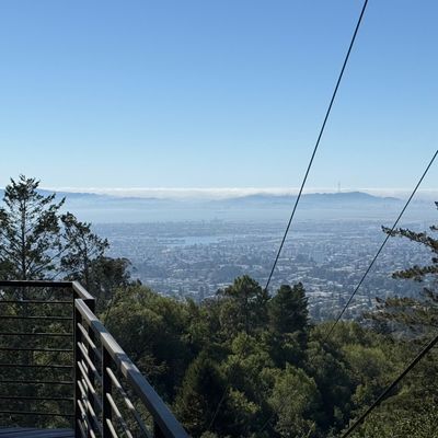 Avatar for Bay Area Mobile Welding