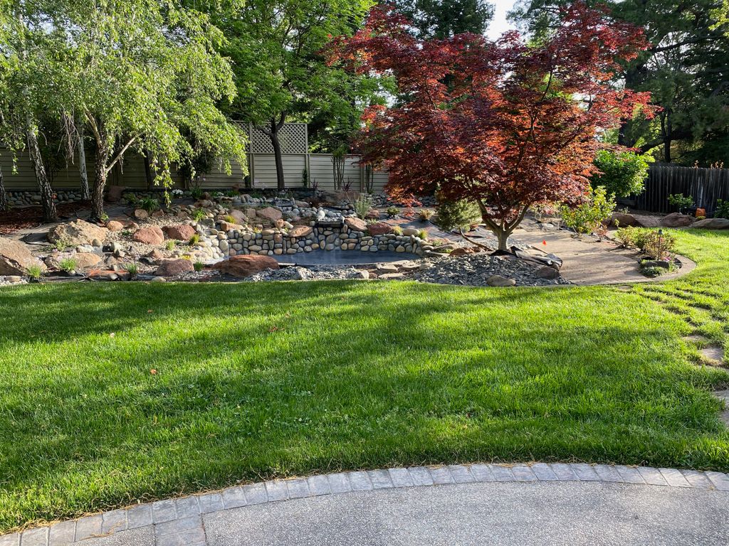 pond design & install