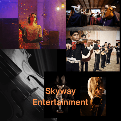 Avatar for Skyway Entertainment LLC