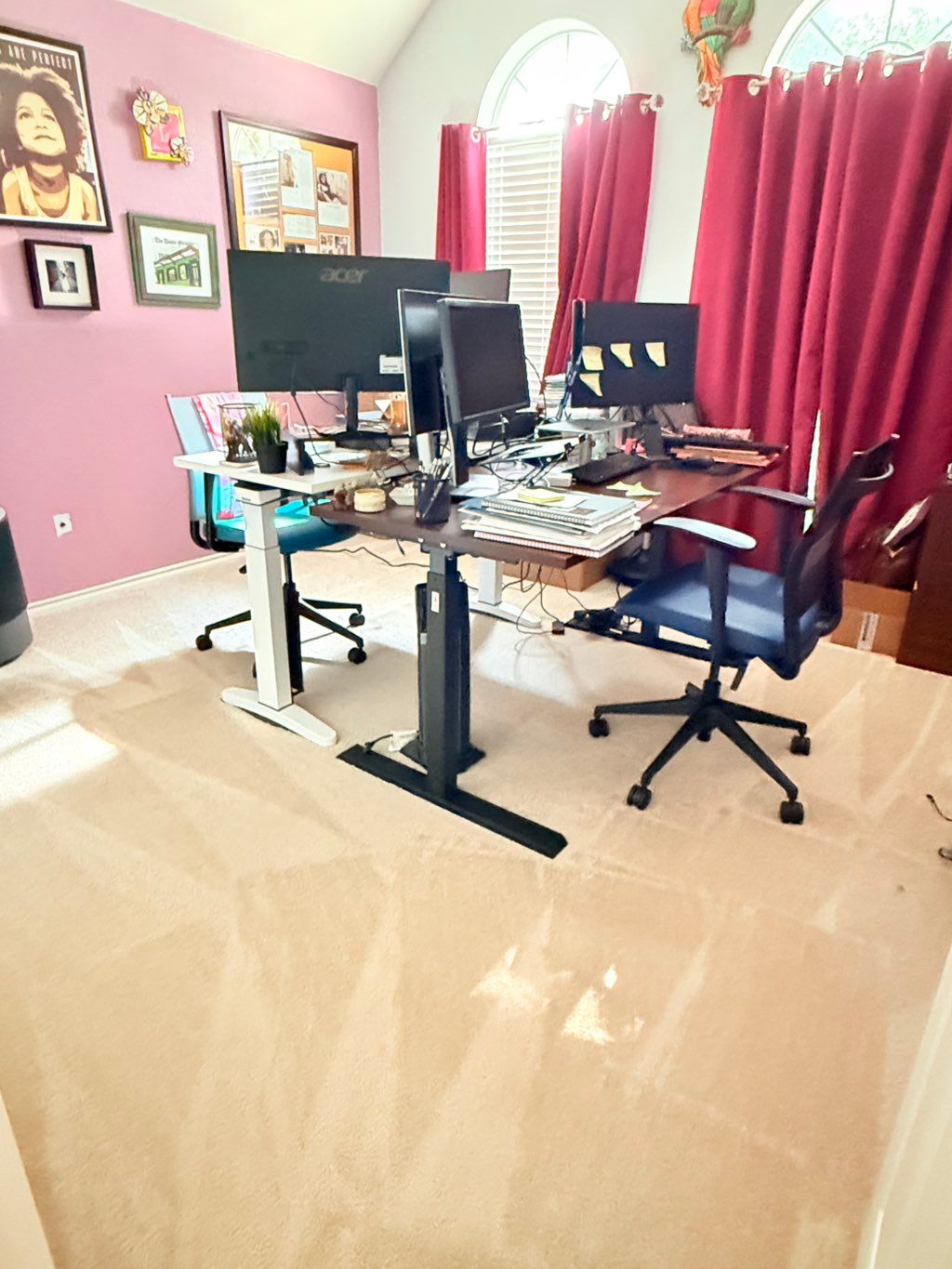 Projects and media