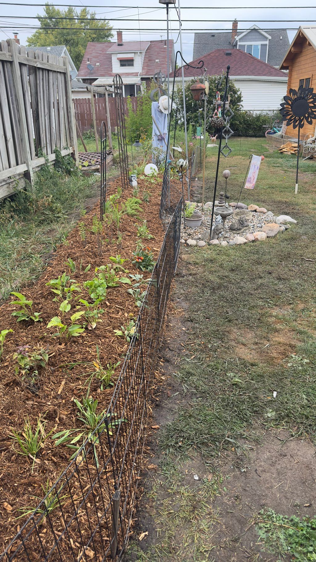 After! We planted 60 native plugs & next year the 