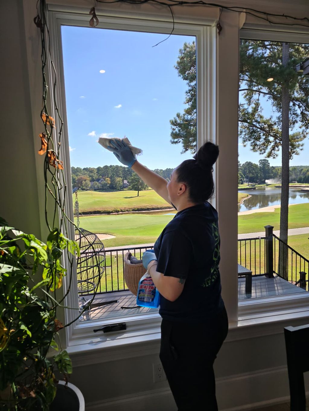 Clean windows :)