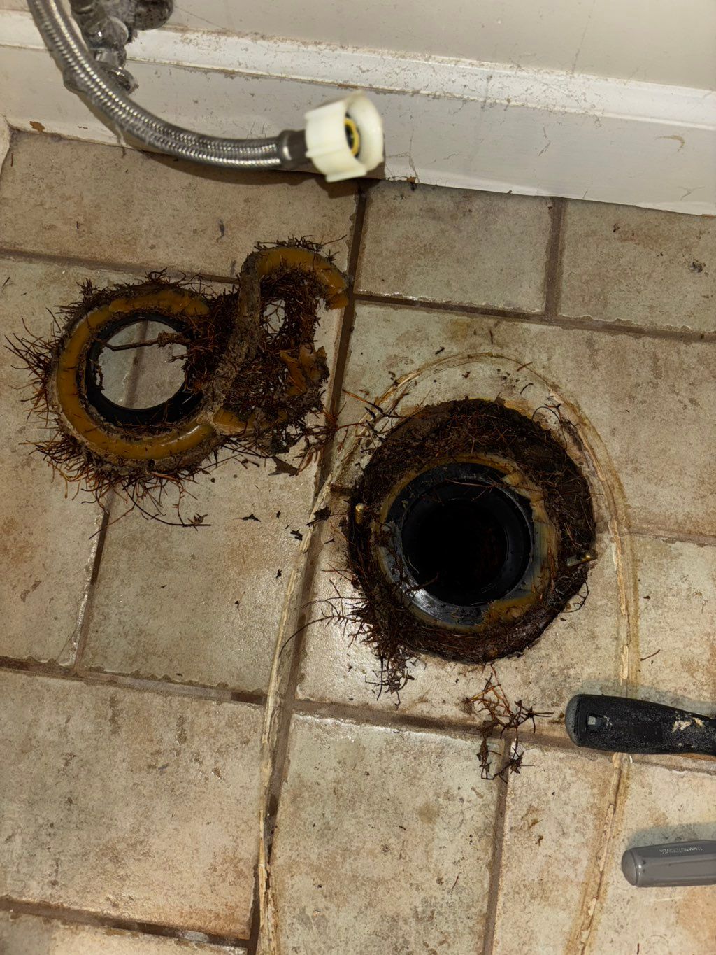 I found some roots !!! 