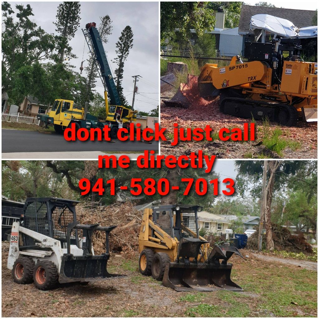 darinel's tree service and more TREE REMOVALS