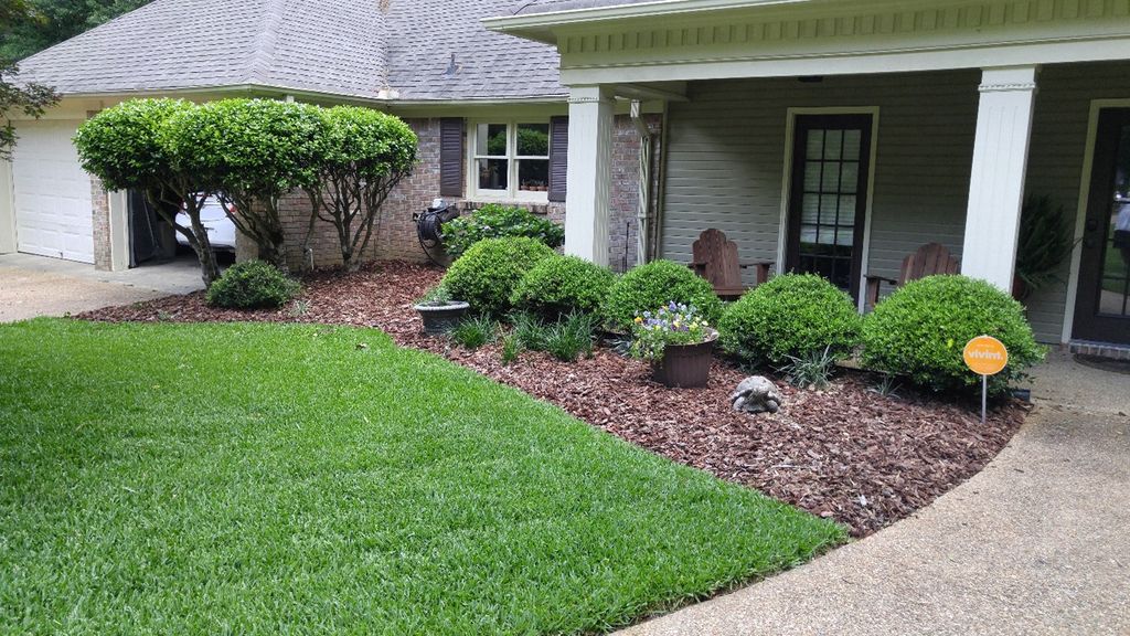 Lawn, shrubs, etc