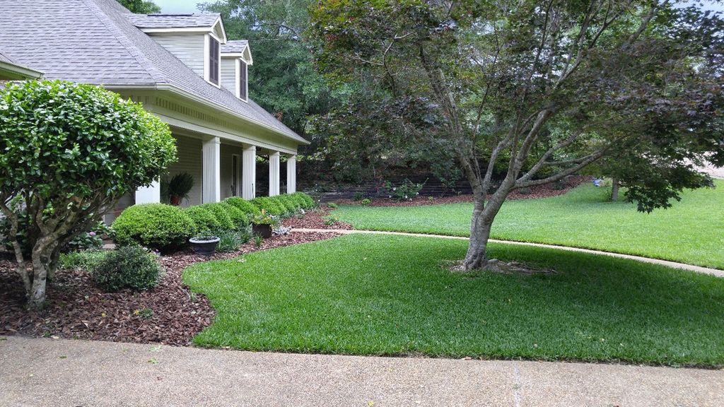 Lawn, shrubs, etc