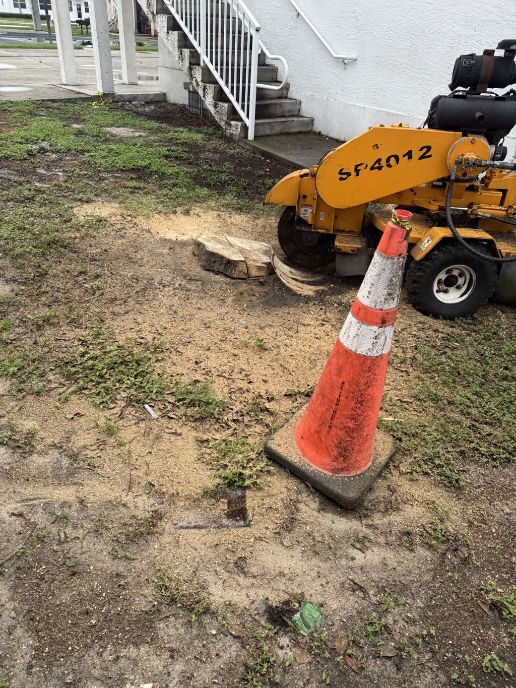 stump grind for client 