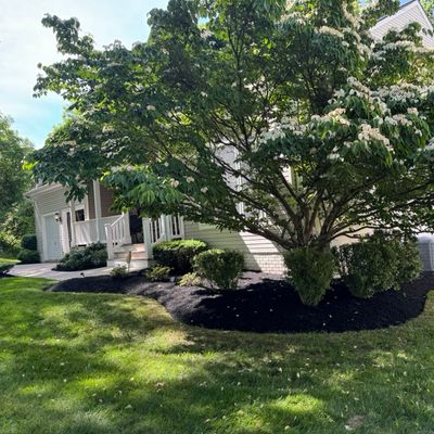 Avatar for ANC Landscaping