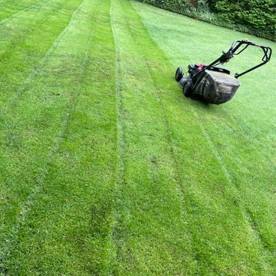 Avatar for Wily landscaping