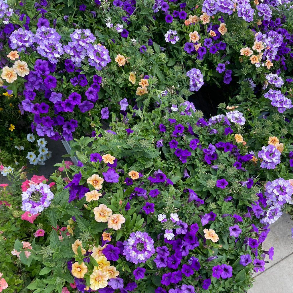PearlGardens