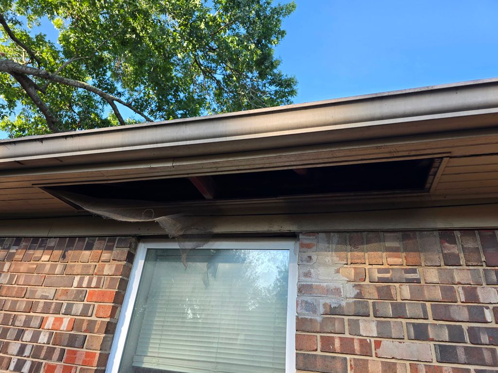 opening from raccoon entry