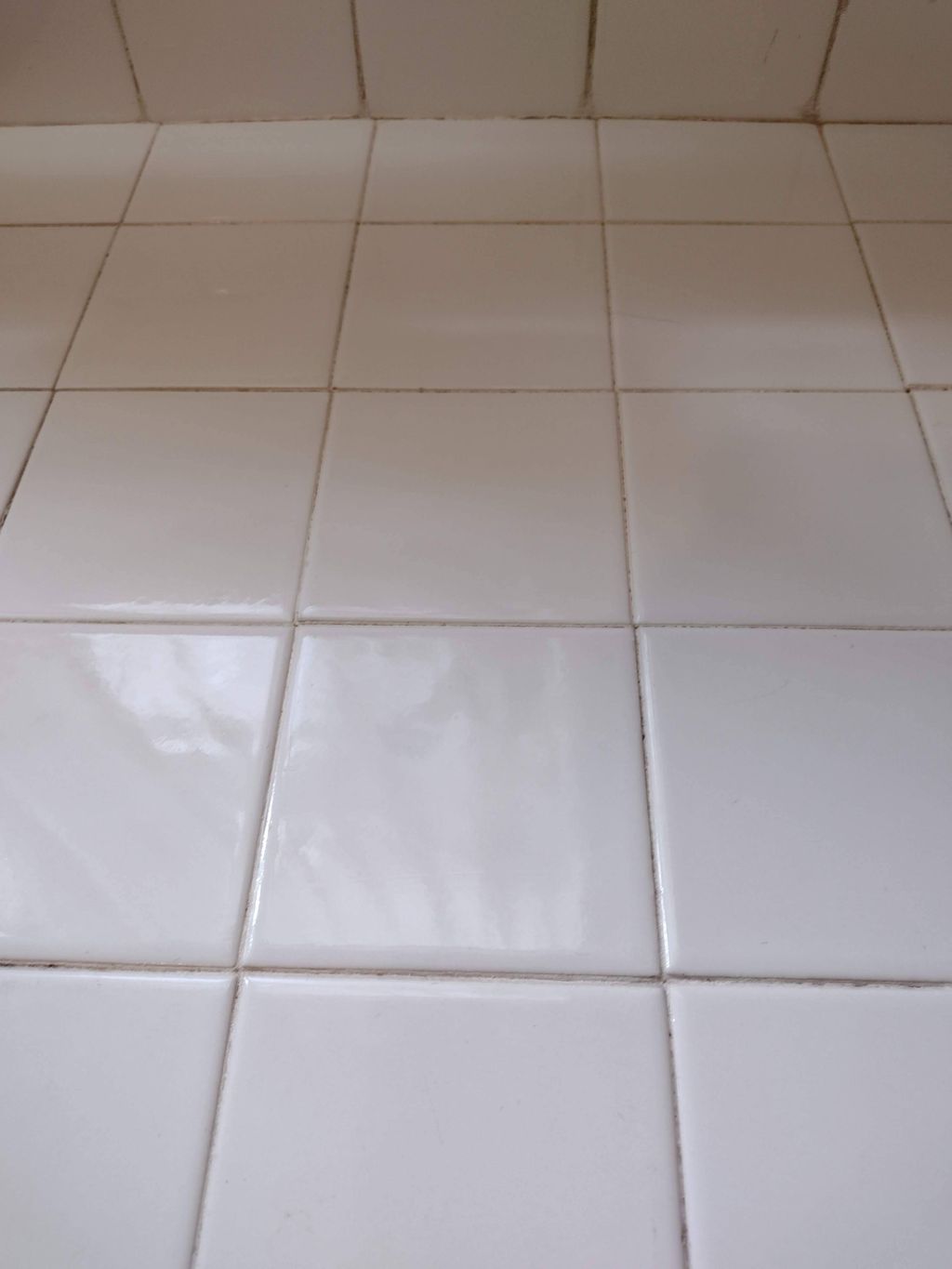 grout cleaning after