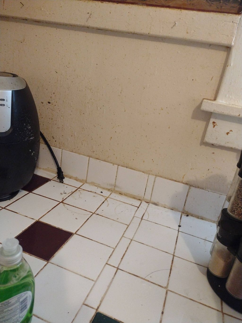 grout cleaning before