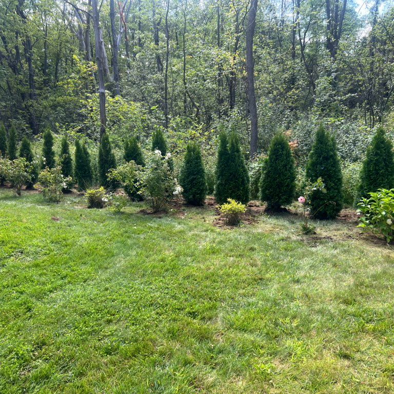 ARC property management (Andy)