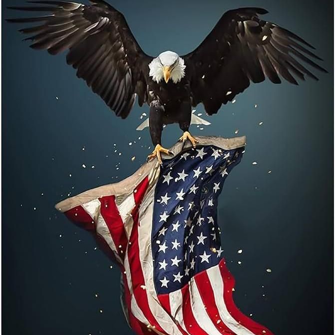 Dewy Rose Transit Express LLC