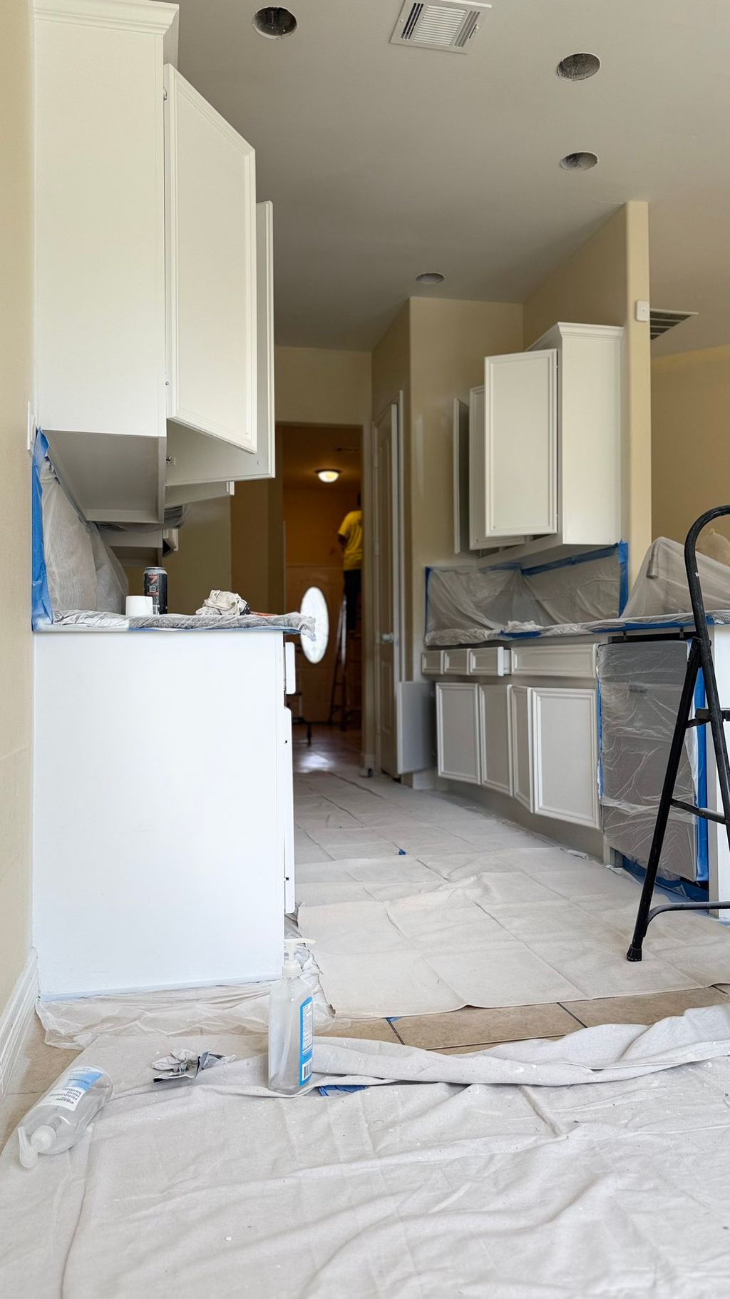 Complete Cabinet Repaint