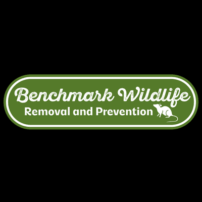 Avatar for Benchmark Wildlife
