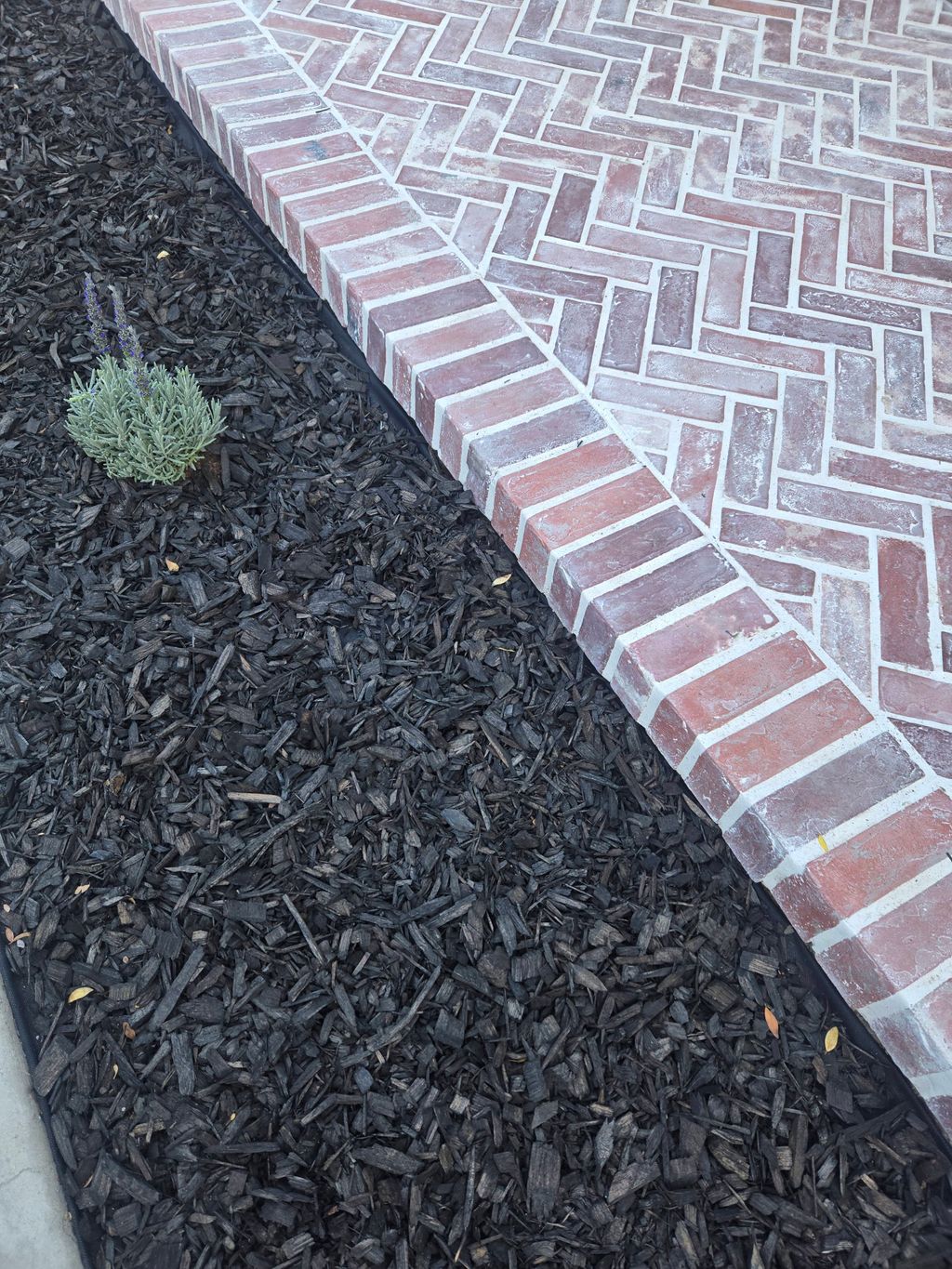 Thin brick install and small landscaping