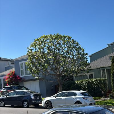 Avatar for PrimeTree Experts