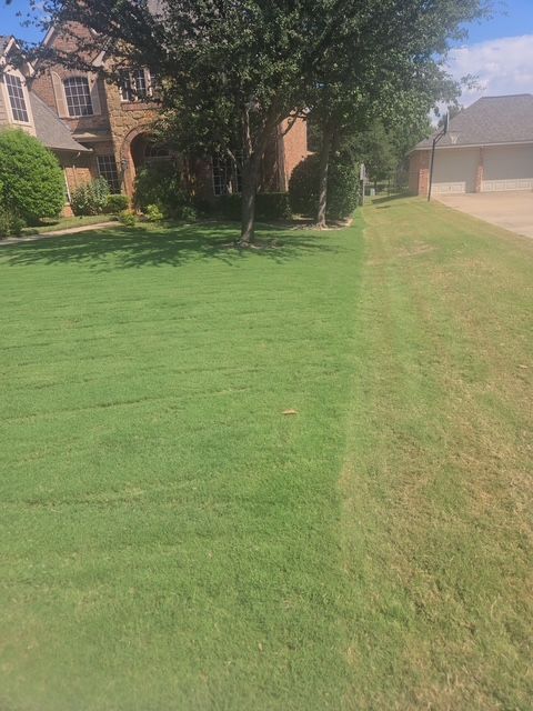 Residential Neighborhood Properties