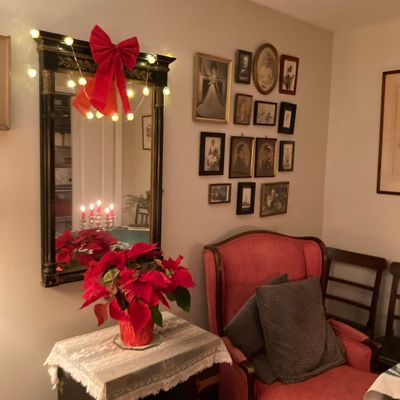 Avatar for Molly Wickes