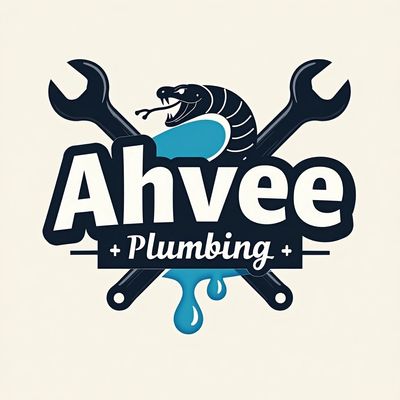 Avatar for Ahvee plumbing and drain cleaning