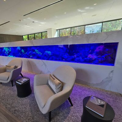 Avatar for Aquarium Architects