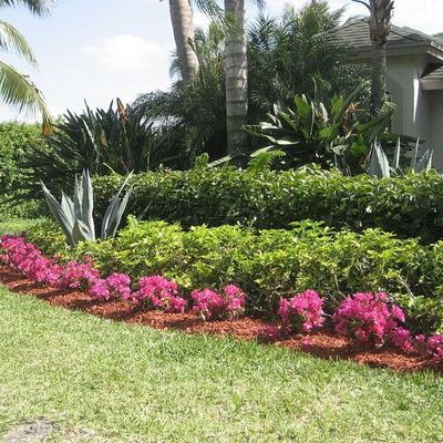 Avatar for Salsa landscape & home improvements
