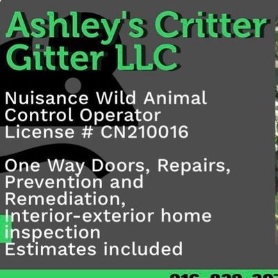 Avatar for Ashley’s Critter Gitter LLC