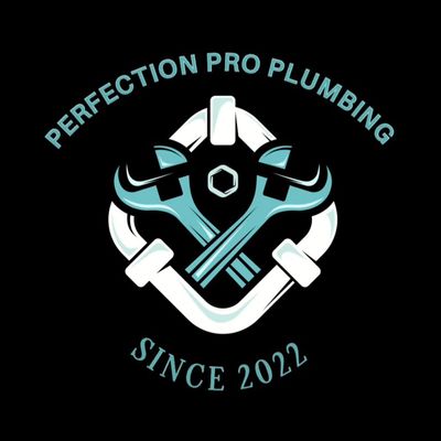 Avatar for Perfection Pro Plumbng