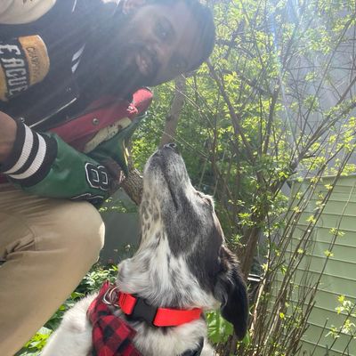 Avatar for LeashLogic.co