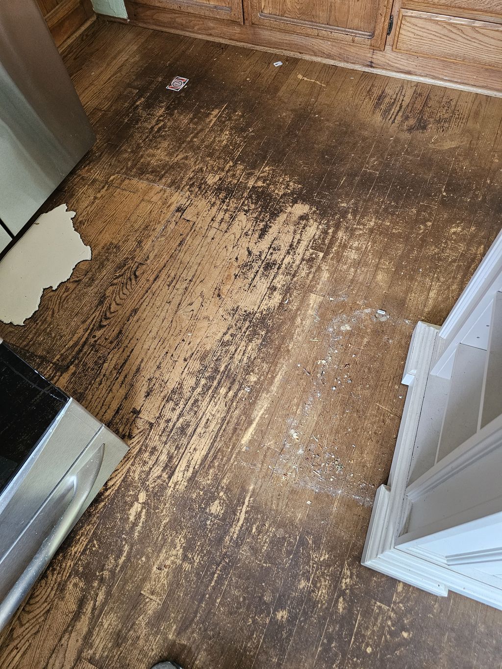 THe before picture