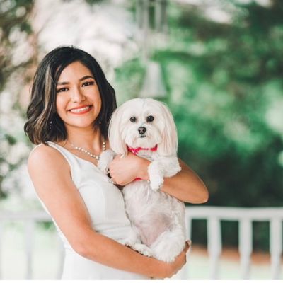 Avatar for Mery and Brian dog-sitting